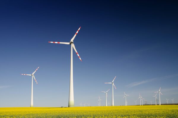 Wind turbines in a field